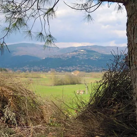 Le Casine-perignano-spinelli Sleeps 5 Appartamento *
